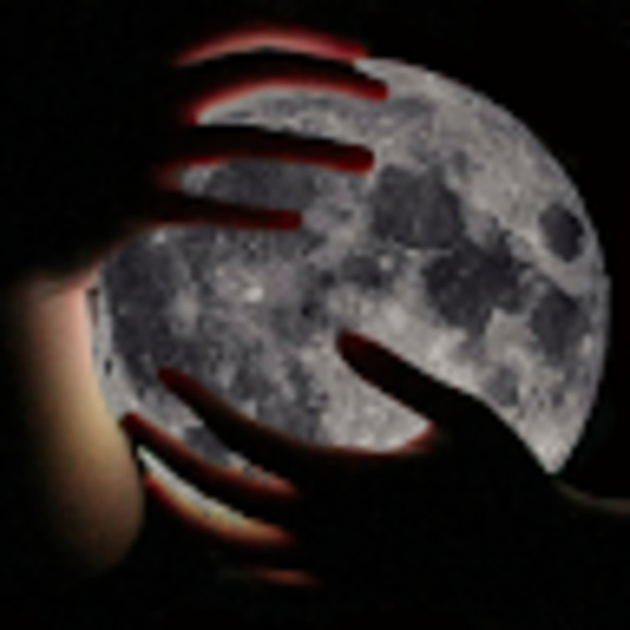 Meet your Posher, Taylor - Picture 1 of 1